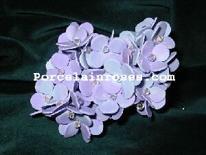 porcelain hydrangea in bicolor purple and blue