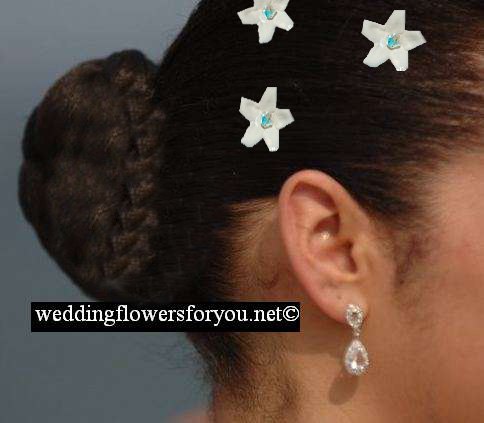 Hair Accessory - Stephanotis