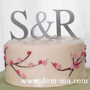 Plain Monogram Cake Topper